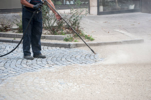 Best Driveway Pressure Washing  in Eustace, TX