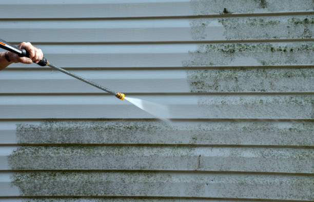 Best Sidewalk and Walkway Cleaning  in Eustace, TX