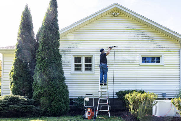 Best Dumpster Area Cleaning  in Eustace, TX